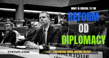 Diplomacy Reform: Key Factors for Success