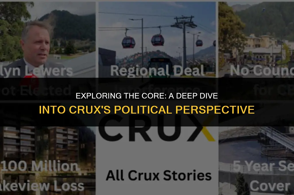 what is crux political view