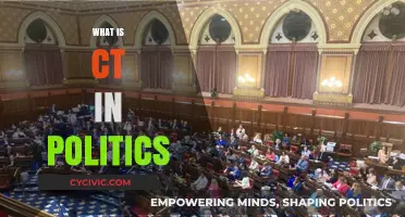 Understanding CT: Its Role and Impact in Modern Politics