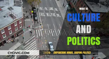 Exploring the Complex Intersection of Culture and Politics