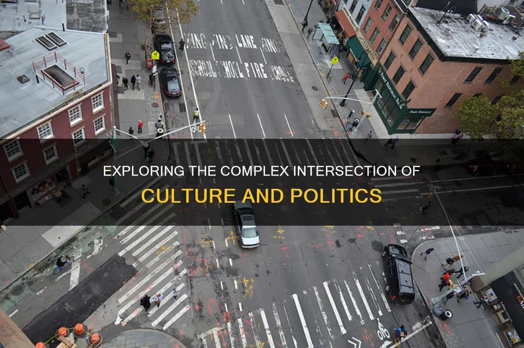 what is culture and politics