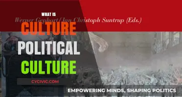 Understanding Political Culture: Shaping Societies, Beliefs, and Governance Dynamics