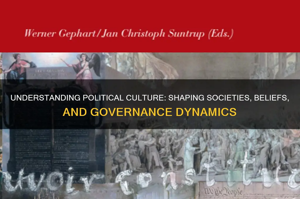 what is culture political culture