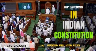 Understanding Cut Motions: Indian Constitution's Unique Procedure
