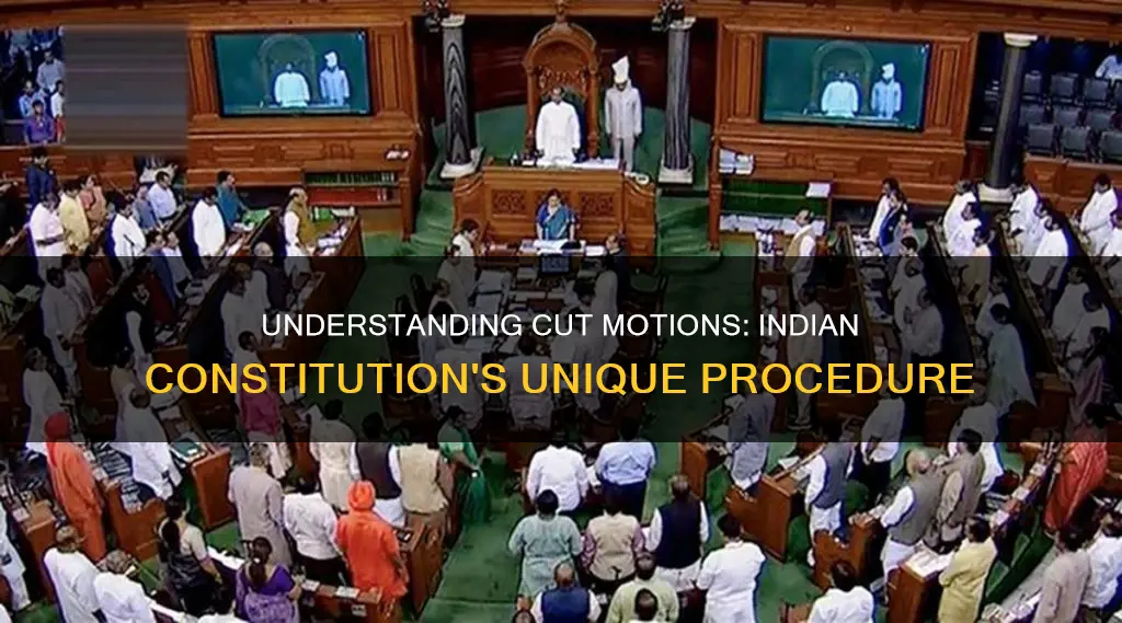 what is cut motion in indian constitution