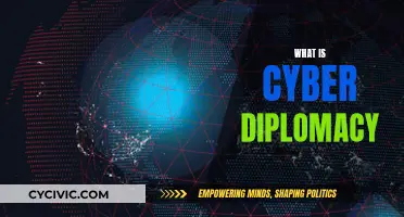 Cyber Diplomacy: Navigating the Digital World Order