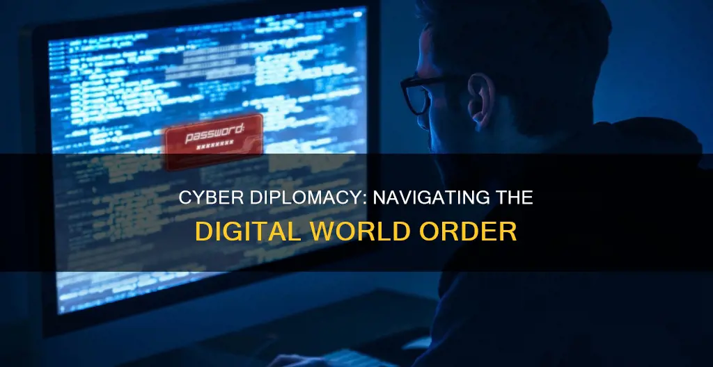what is cyber diplomacy
