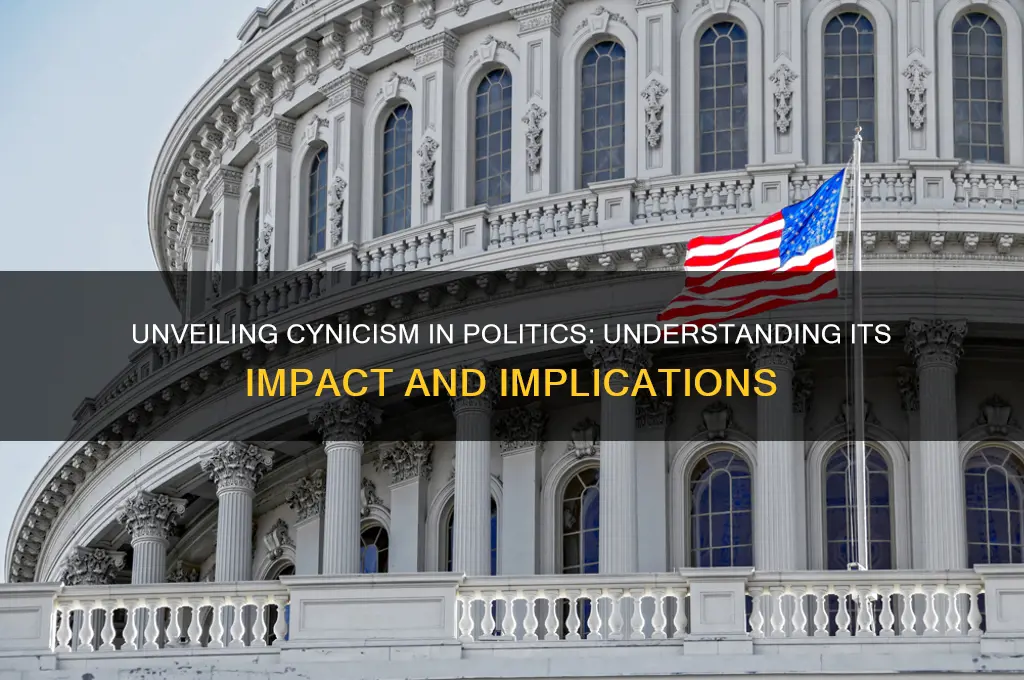 what is cynicism in politics