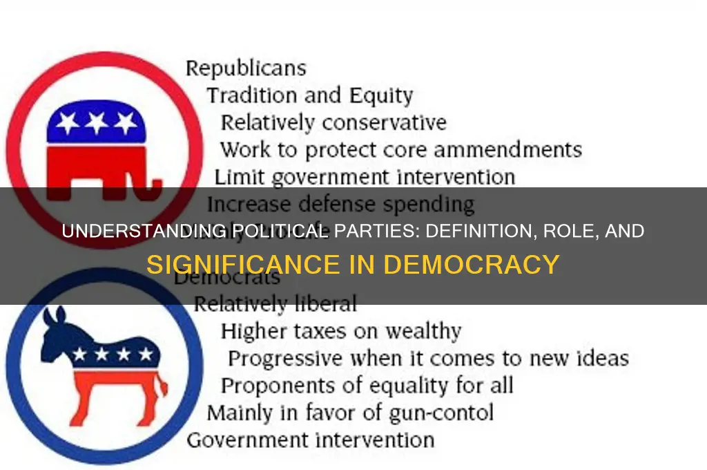 what is d meaning of political party