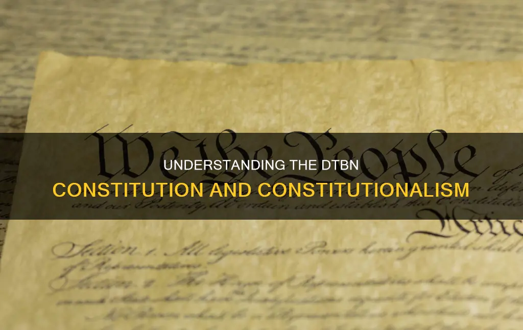 what is d t b n constitution and constitutionalism