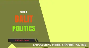 Understanding Dalit Politics: History, Movements, and Social Justice Struggles