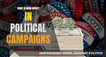 Dark Money: Political Campaigns' Hidden Funds