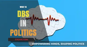 Understanding DBS: Its Role and Impact in Modern Political Systems