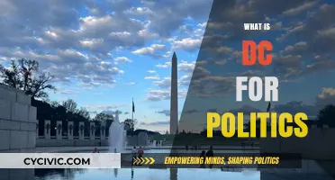 Understanding DC Politics: The Heart of American Political Power