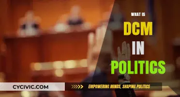 Understanding DCM: Its Role and Impact in Political Decision-Making