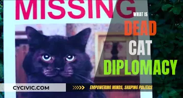 Dead Cat Diplomacy: A Distraction Tactic in Politics