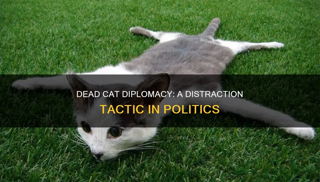 what is dead cat diplomacy