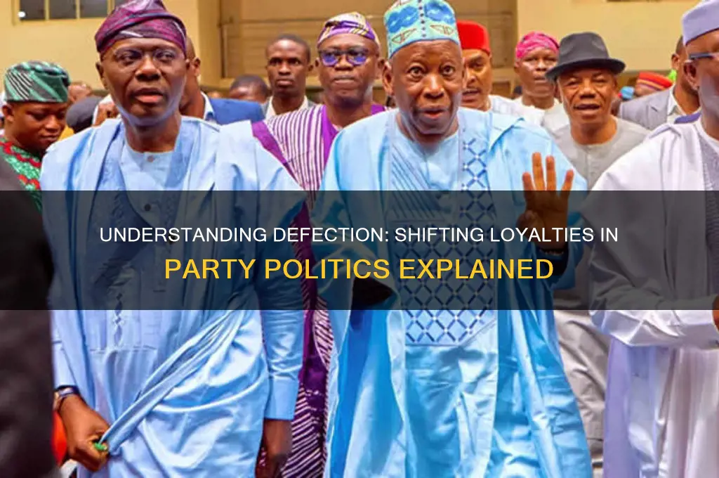 what is defection in party politics