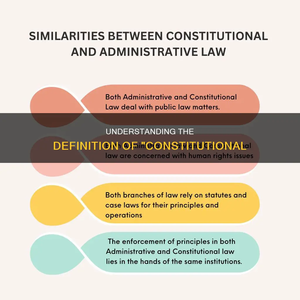 what is define of constitutional in this quotation marks