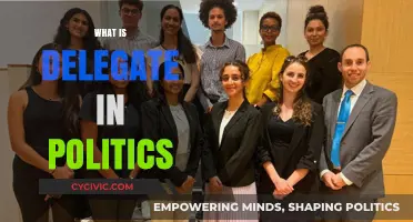 Understanding Political Delegates: Roles, Responsibilities, and Influence in Elections