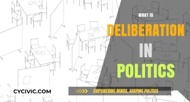Understanding Deliberation: A Key to Effective Political Decision-Making