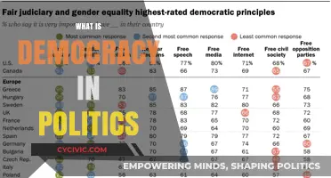 Understanding Democracy: Principles, Practice, and Political Significance Explained