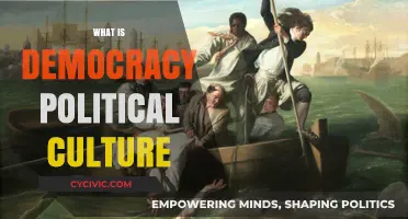 Understanding Democracy: The Role and Impact of Political Culture Explained