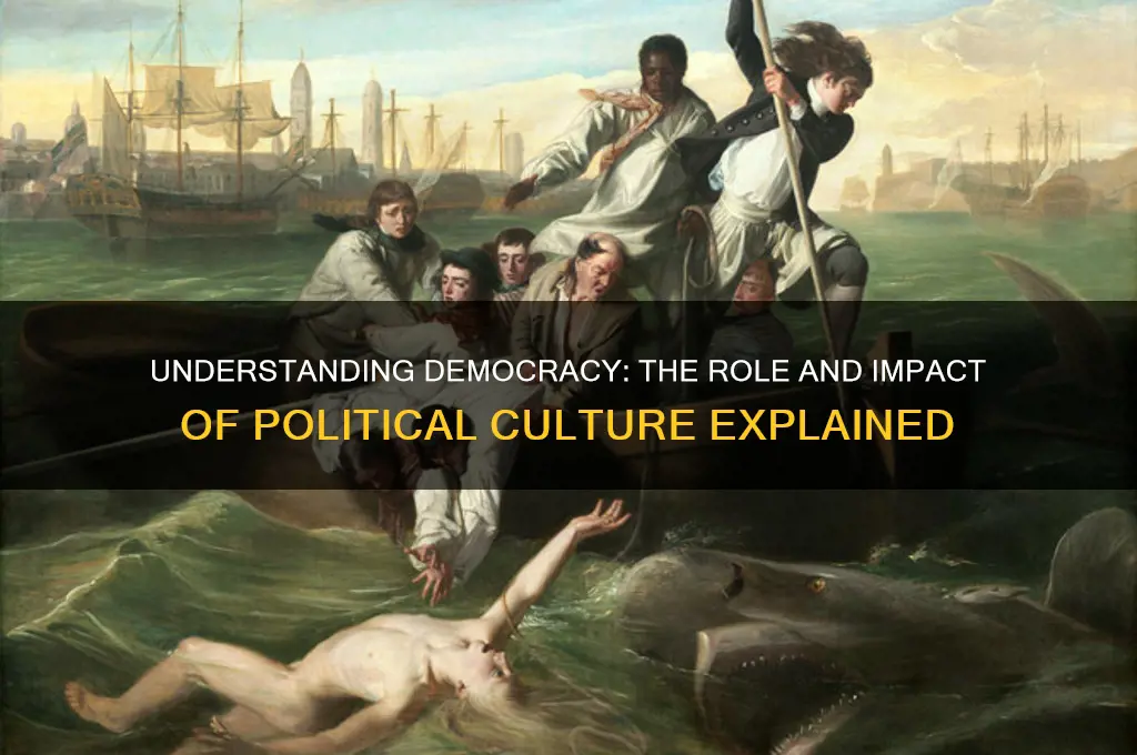 what is democracy political culture