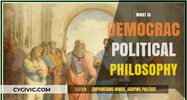 Understanding Democracy: Core Principles and Political Philosophy Explained
