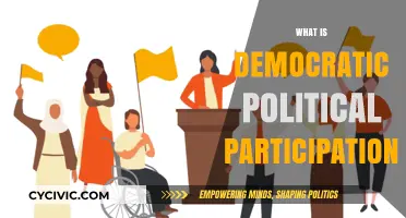 Understanding Democratic Political Participation: Empowering Citizens in Governance