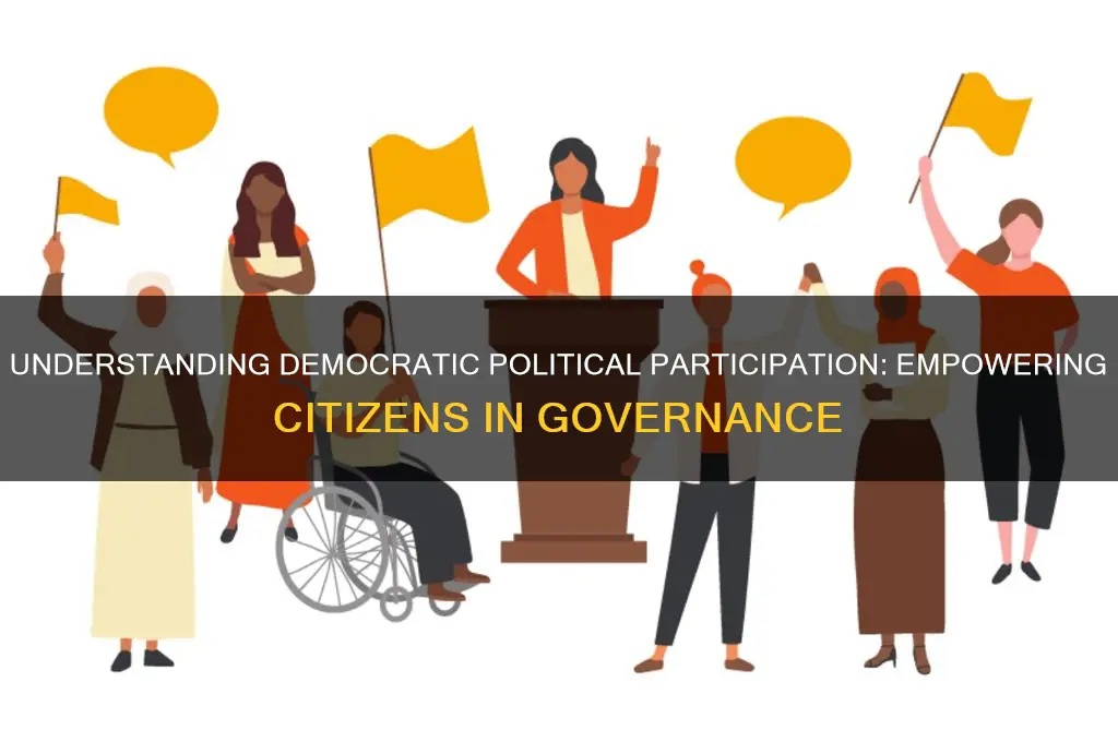 what is democratic political participation