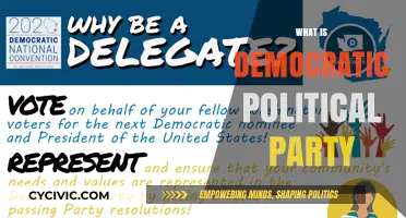 Understanding the Democratic Party: Core Values, Policies, and Political Impact