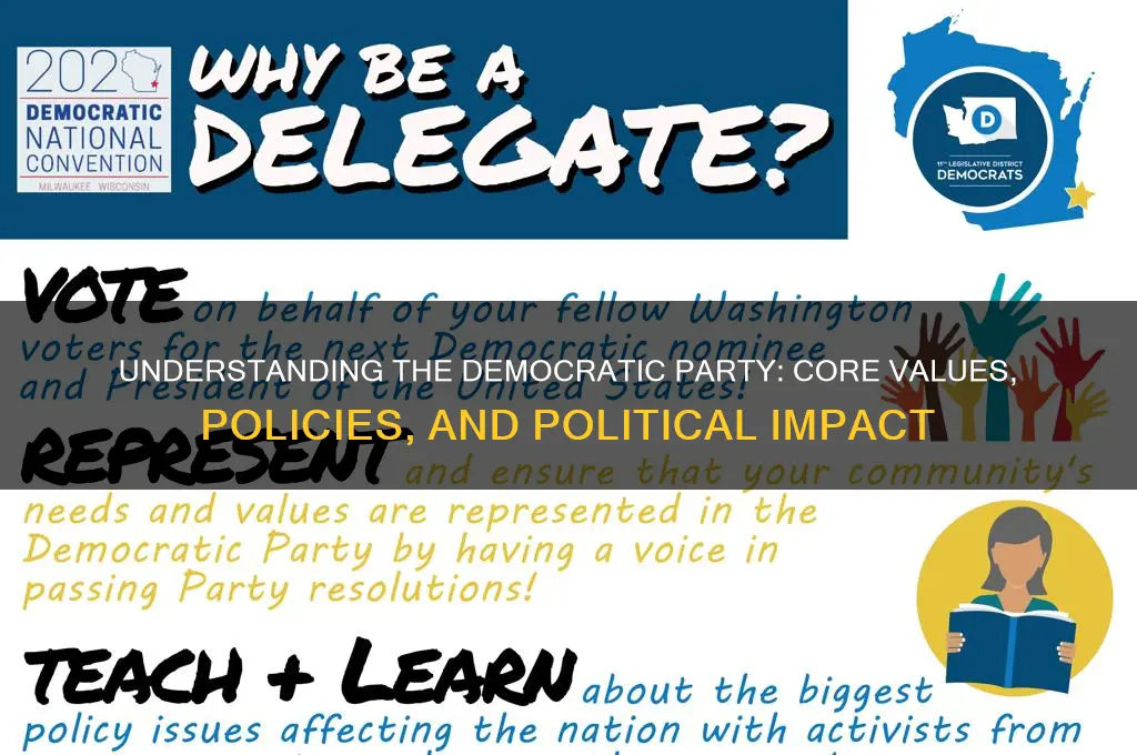 what is democratic political party