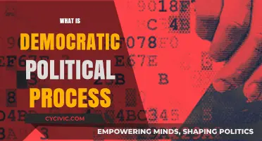 Understanding Democracy: The Core Principles of Democratic Political Processes