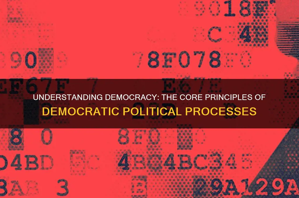 what is democratic political process
