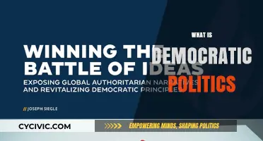 Understanding Democratic Politics: Principles, Practices, and Participation Explained