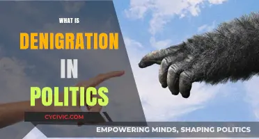 Understanding Denigration: Tactics and Impact in Political Campaigns