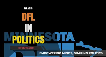 Understanding DFL: Minnesota's Democratic-Farmer-Labor Party Explained