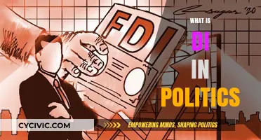 Understanding Direct Investment's Role in Political Economies and Policies