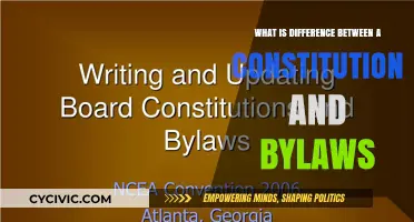 Understanding the Core Differences: Constitution vs Bylaws