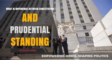 Understanding Prudential Standing and Constitutional Law