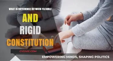 Flexibility vs Rigidity: Understanding Constitutional Differences