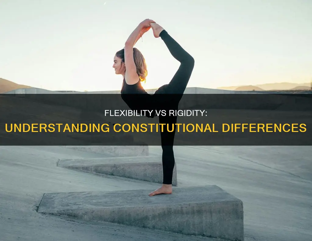 what is difference between flexible and rigid constitution