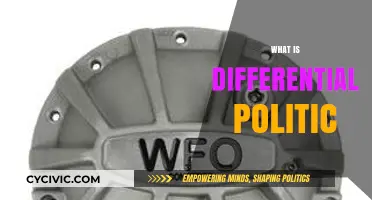 Understanding Differential Politics: Concepts, Impact, and Real-World Applications