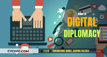 Digital Diplomacy: Understanding the New Age of Diplomacy