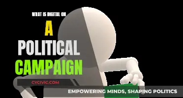 Digital Campaigns: Strategies for Political Success