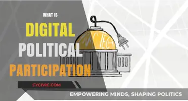 Understanding Digital Political Participation: Engagement, Influence, and Democracy Online