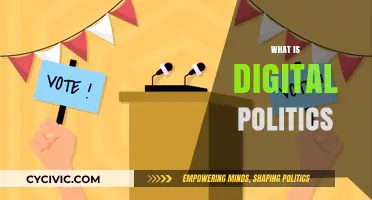 Understanding Digital Politics: Transforming Campaigns, Governance, and Public Engagement