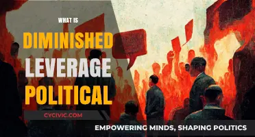 Understanding Diminished Leverage in Political Dynamics: Causes and Consequences