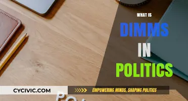 Understanding DIMMS: Political Strategies and Their Impact on Campaigns